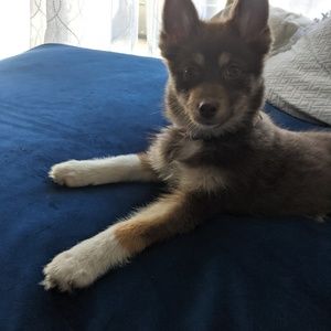 Meet your Posher, Mindy